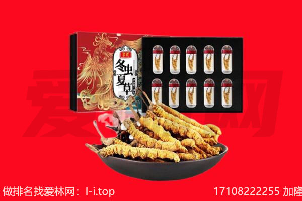 厦门市湖里回收虫草.jpg